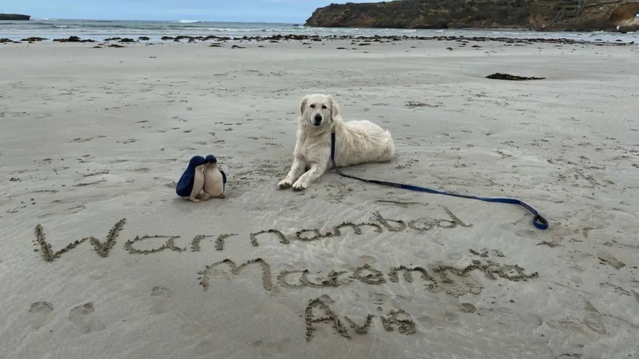  Middle Island Project &ndash; Facebook 