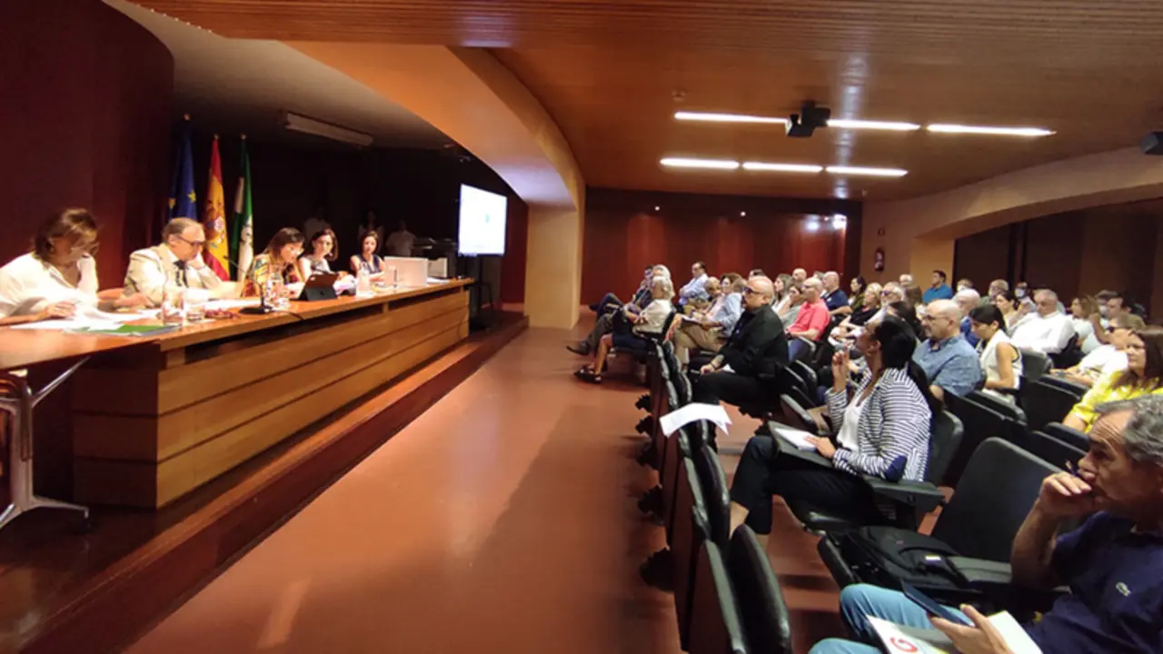  Un momento de la subasta p&uacute;blica de inmuebles de la Junta 