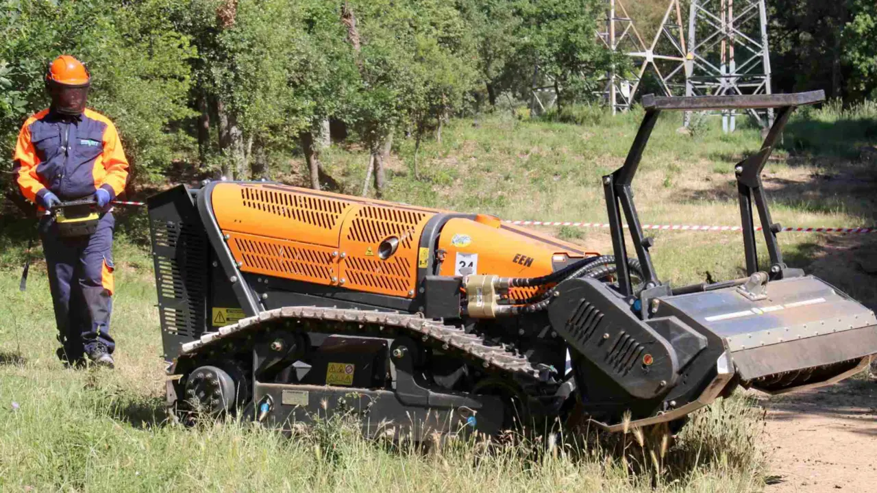  Tala y poda&nbsp;selectiva 