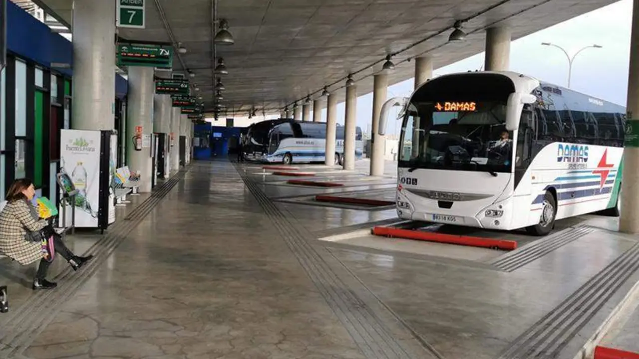  1651226643473autobusOKEst 