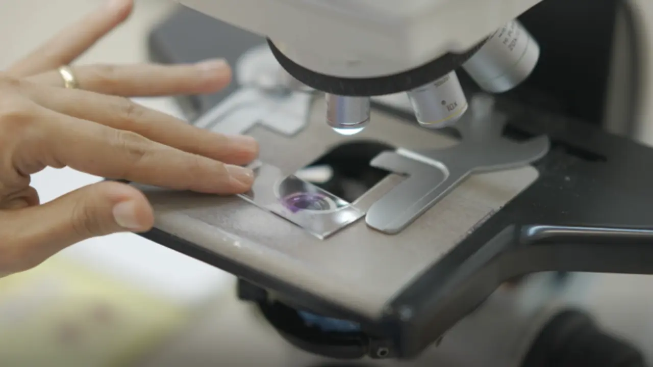  Laboratorio. ARCHIVO 