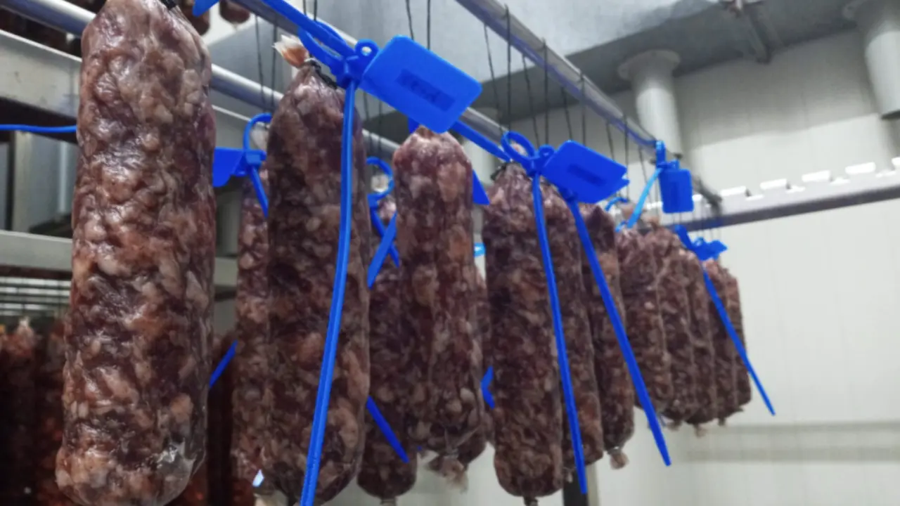  Imagen de uno de los embutidos con los que trabaja el equipo de investigaci&oacute;n 