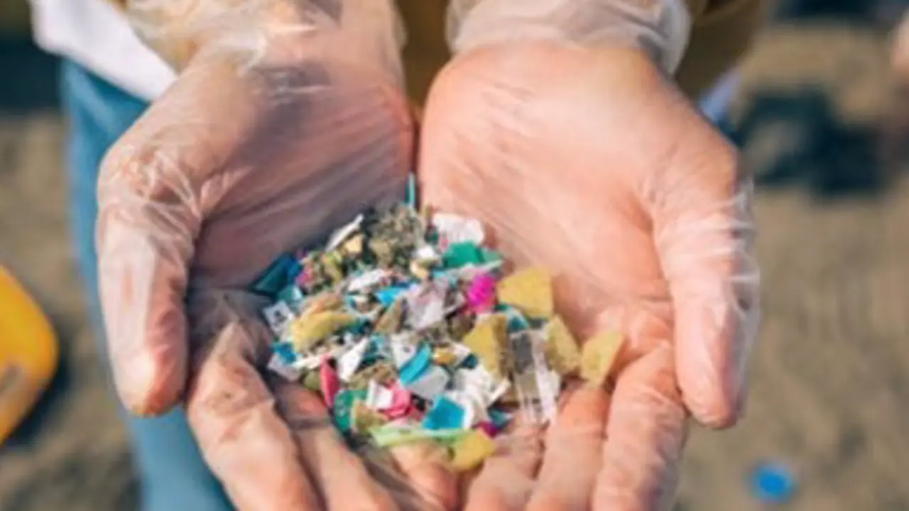  Archivo - Captoplastic en su iniciativa de recogida de micropl&aacute;sticos - FUNDACI&Oacute;N EVERIS - Archivo 