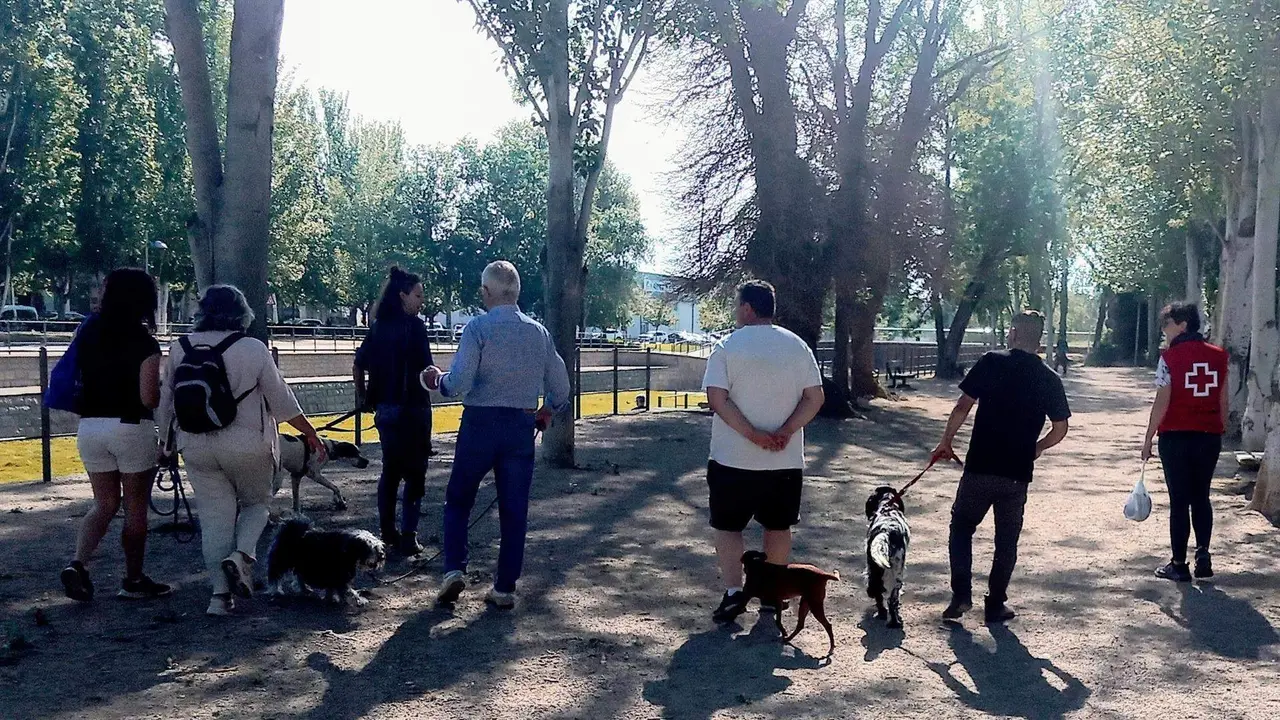  Cruz Roja impulsa el proyecto Crece para evitar la institucionalizaci&oacute;n de las personas en situaci&oacute;n vulnerable 