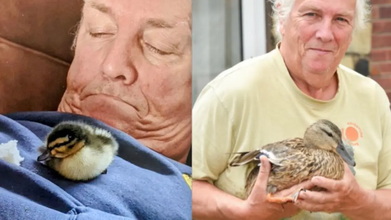  Phil Garner &ndash; SWNS 