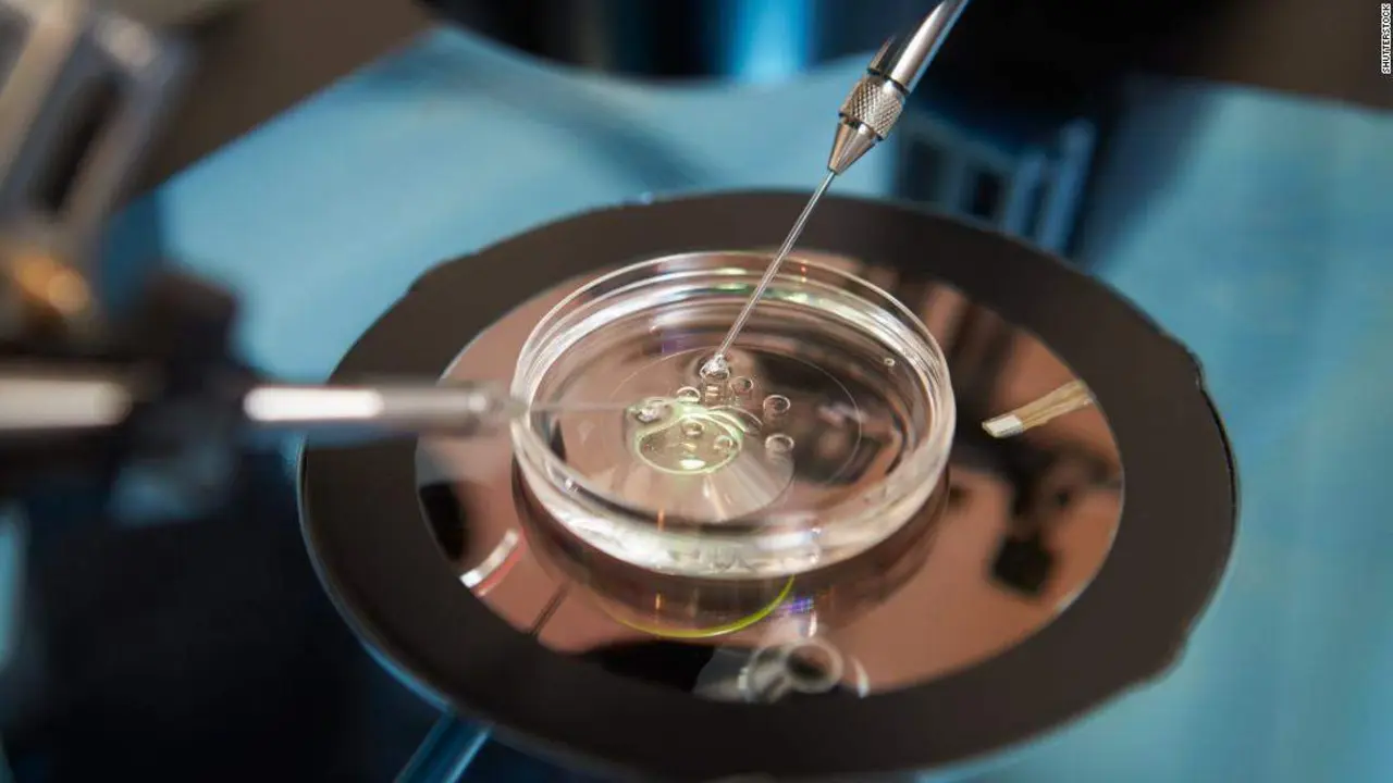  Fecundaci&oacute;n in vitro 