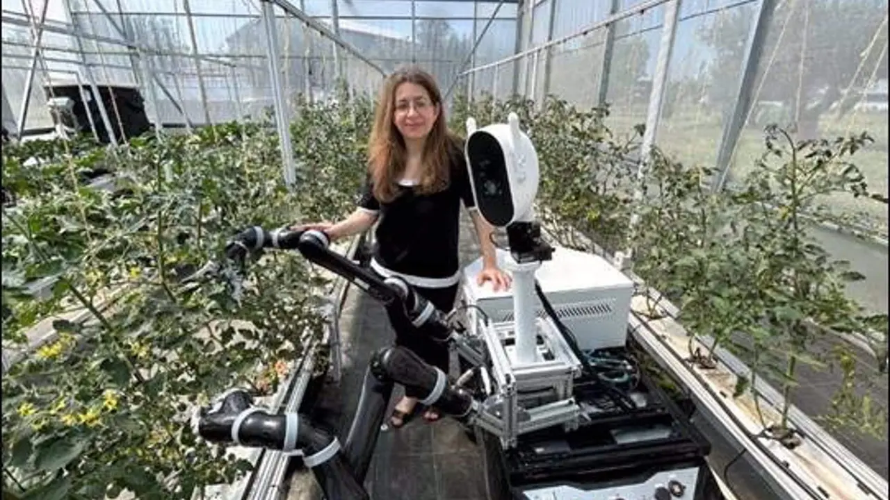  Investigadores espa&ntilde;oles desarrollan un robot aut&oacute;nomo capaz de recoger frutas y verduras sin da&ntilde;ar los alimentos 