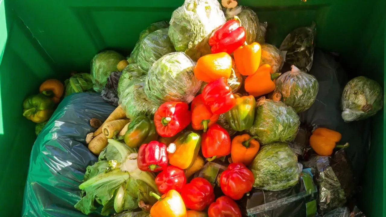  Archivo - El ciclo '(SOS)tenibiliad alimentaria' abordar&aacute; la coexistencia de hambre y obesidad o el desperdicio de alimentos - FUNDACI&Oacute;N LA CAIXA - Archivo 