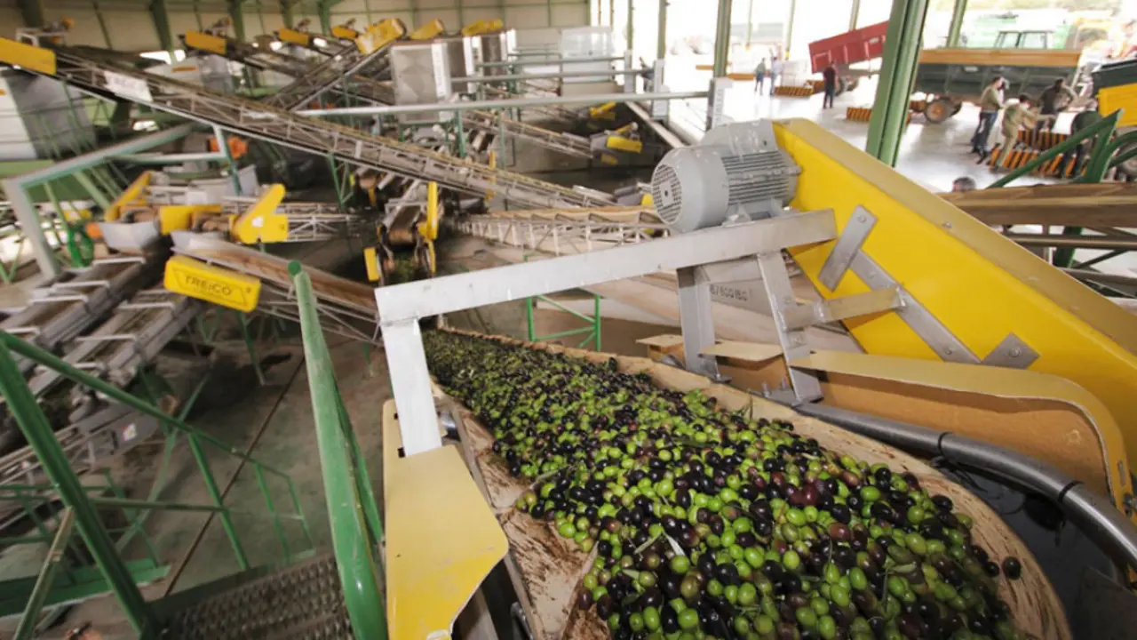  Imagen de una almazara de aceite de oliva 