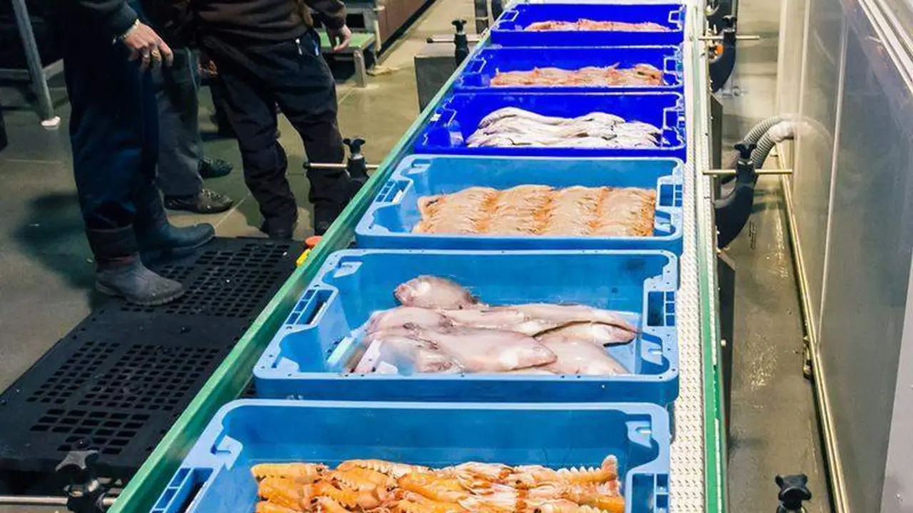  Lonja Pescado - Junta de Andalucía 