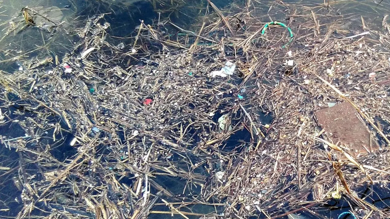  Pl&aacute;sticos - RAFAEL CARBALLEIRA 