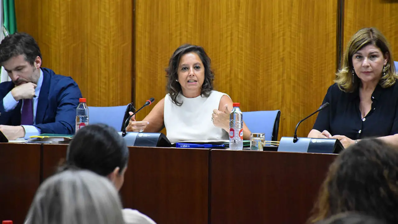  1689686274938CGComisi&oacute;n Infancia_Estandar 