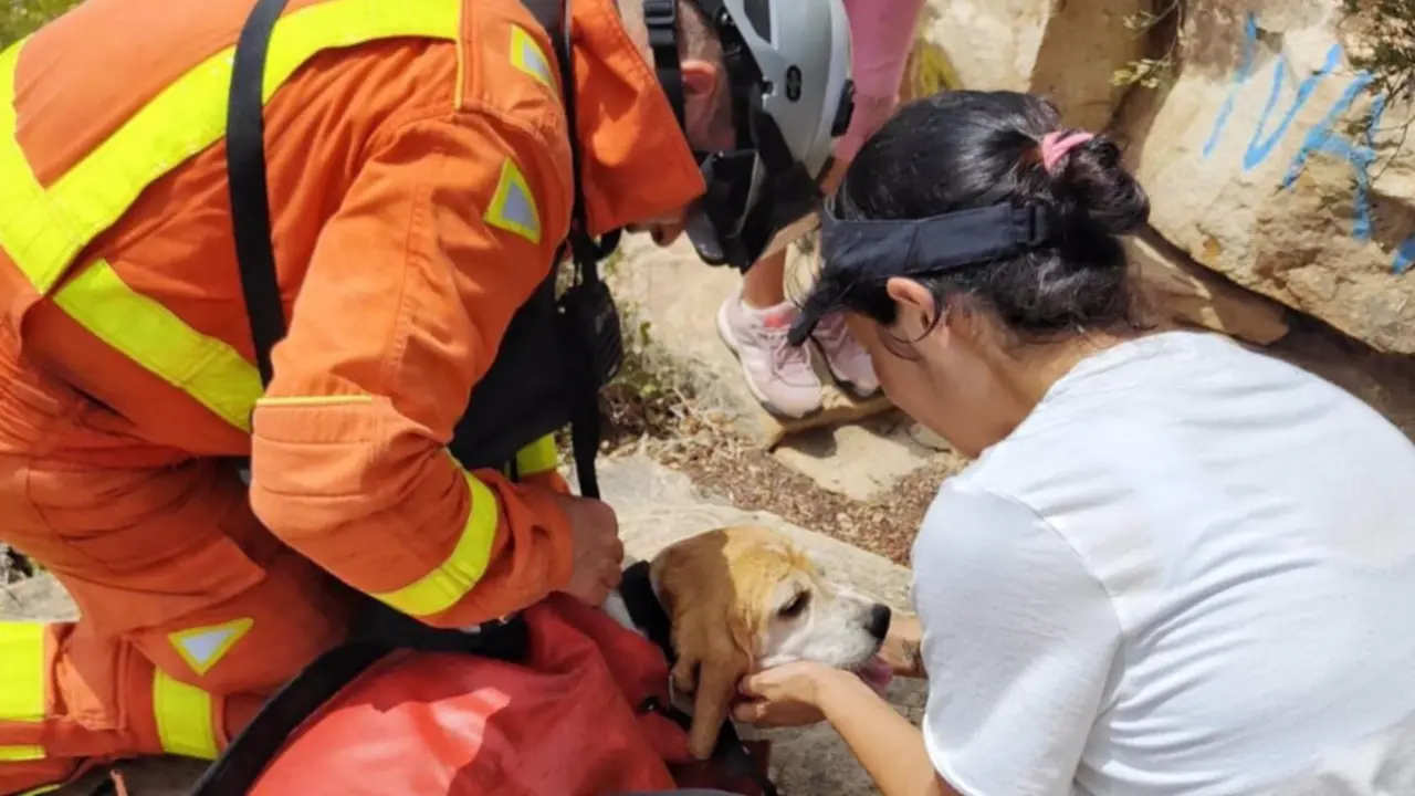  Rescate de un perro en Sagunto - CPBV 