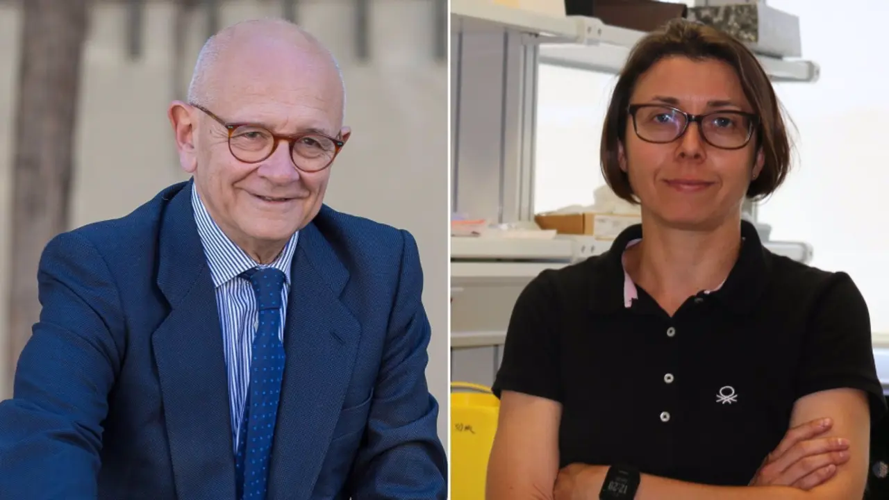  Vi&ntilde;a y Cabrera - INCLIVA 