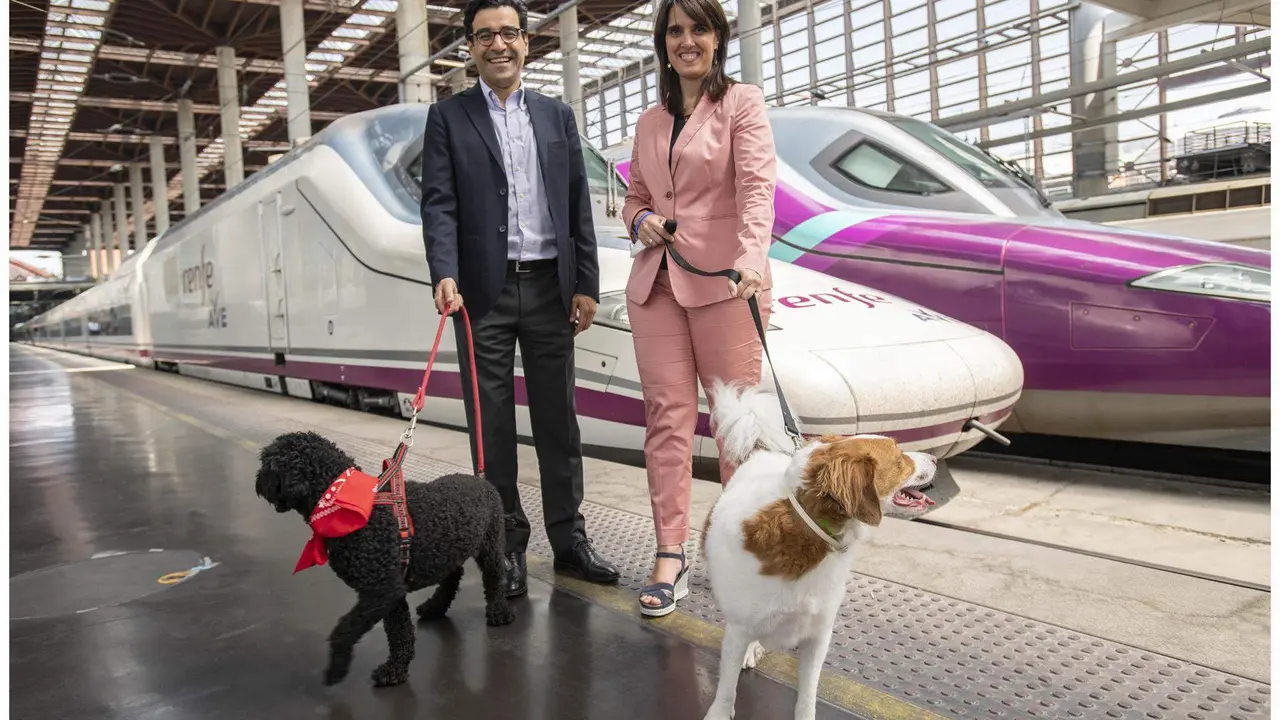  Perros viajando en Renfe 