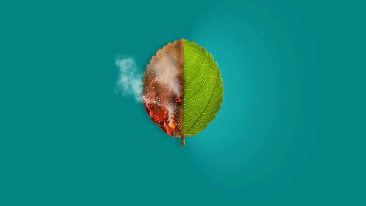  BBVA-cambio-climatico-apertura-1-1024x629 