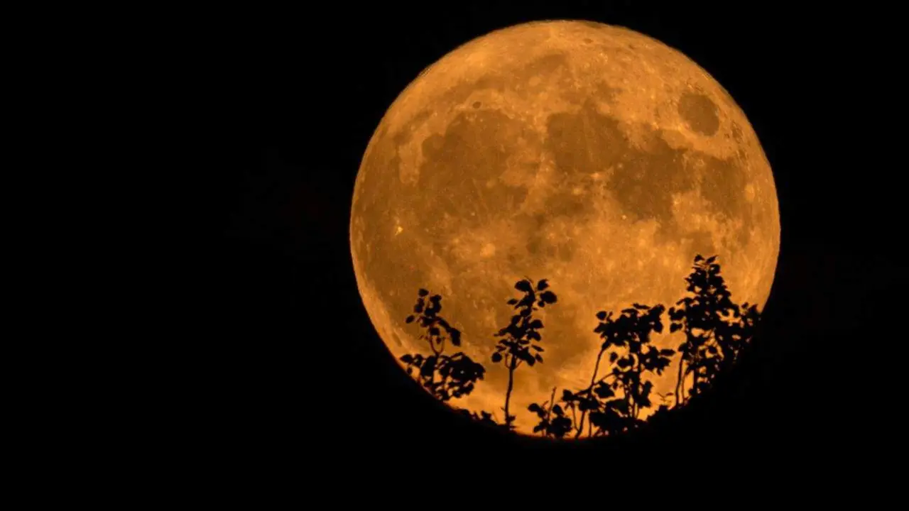  33DF4D8C-E351-4A1E-A1AD-D0093C13649C 