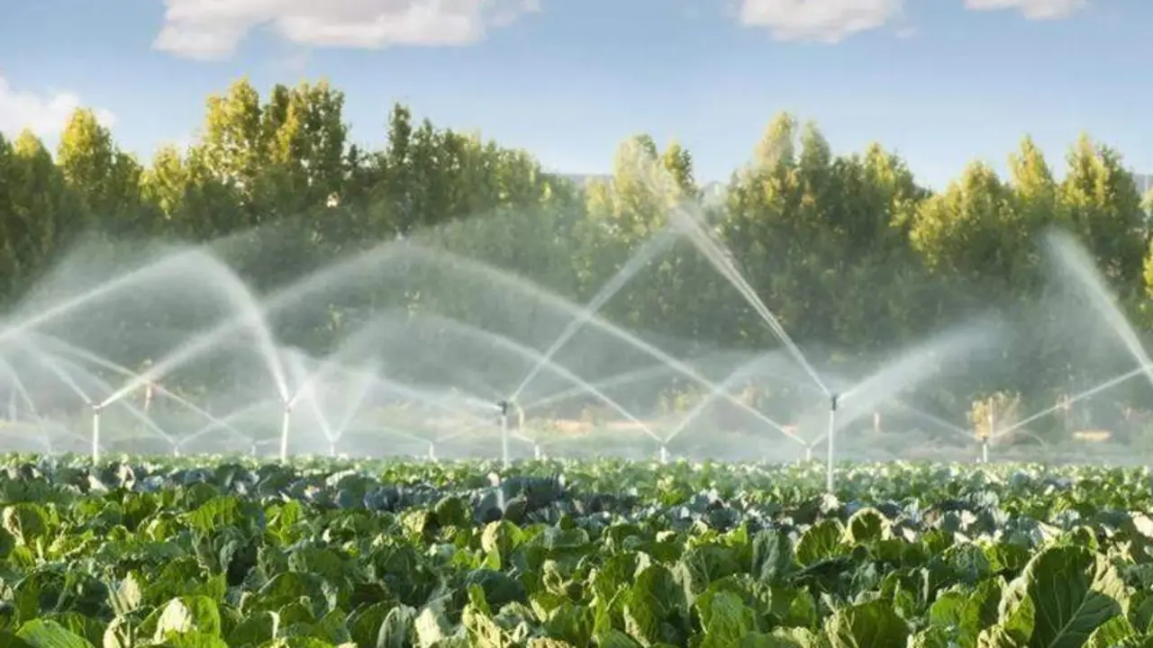  Agricultura. ARCHIVO 