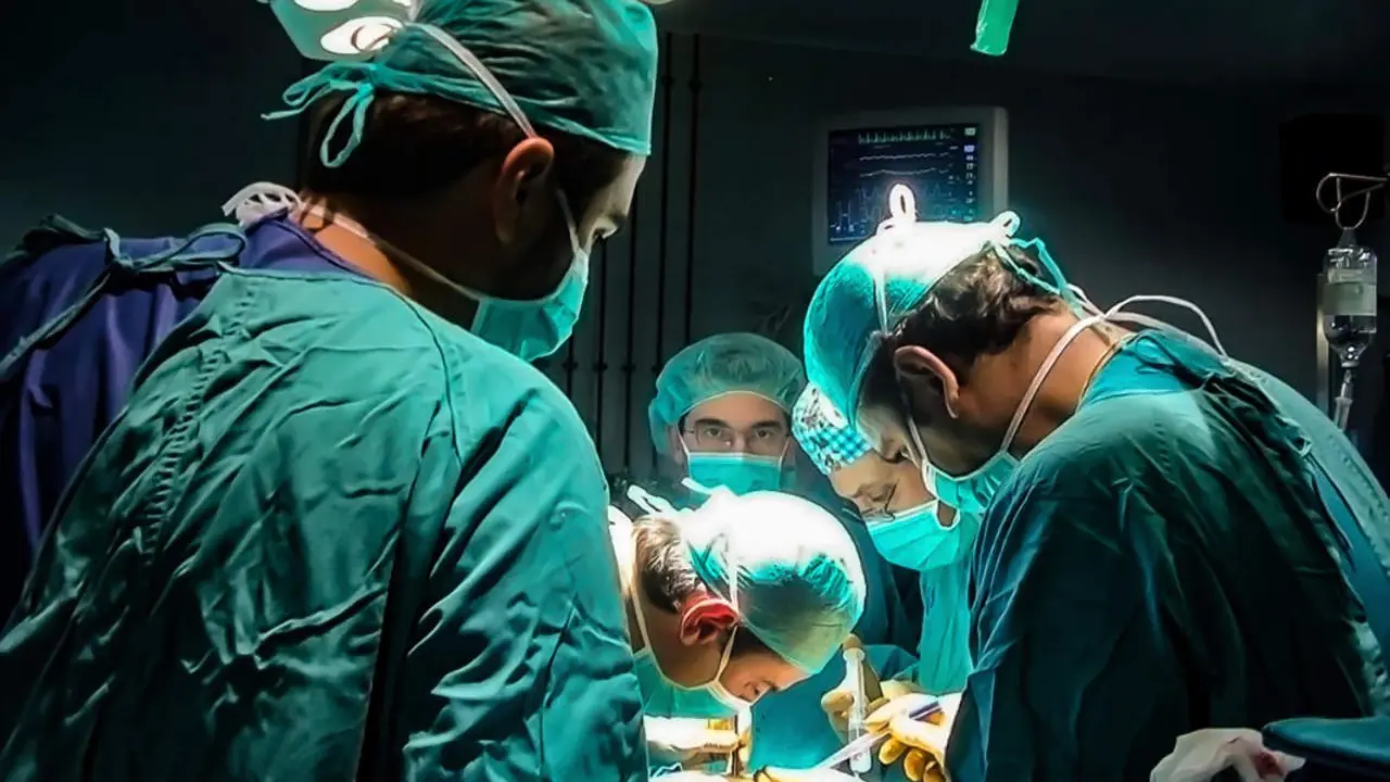 Trasplante. - JUNTA DE ANDALUC&Iacute;A -