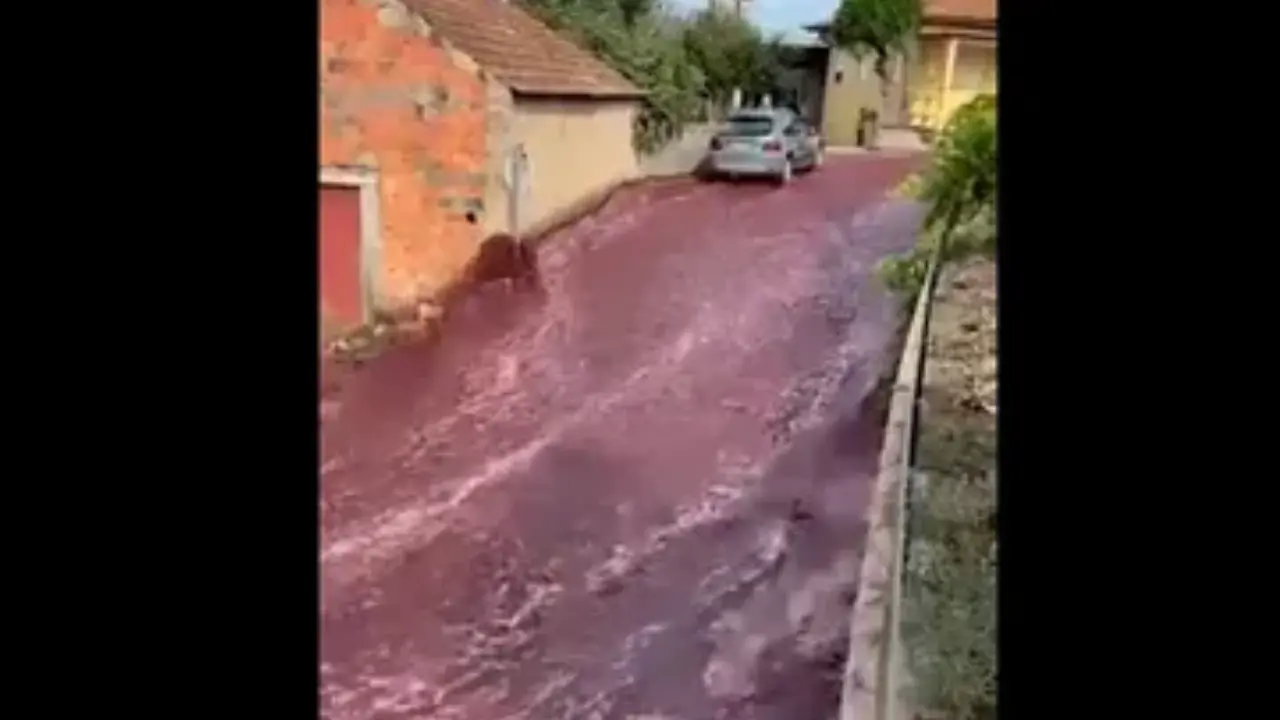  Vino tinto inundando las calles de un pueblo en Portugal 