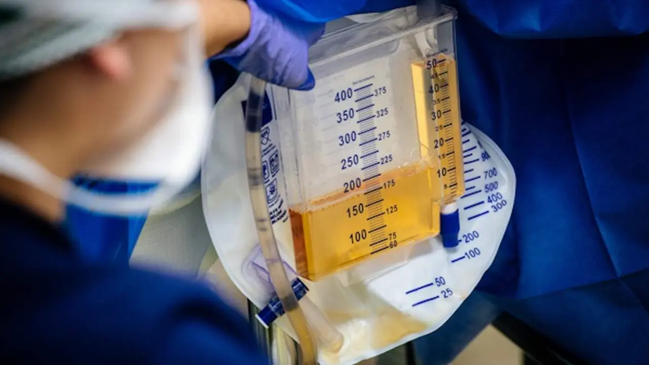  Universidad de Alabama 