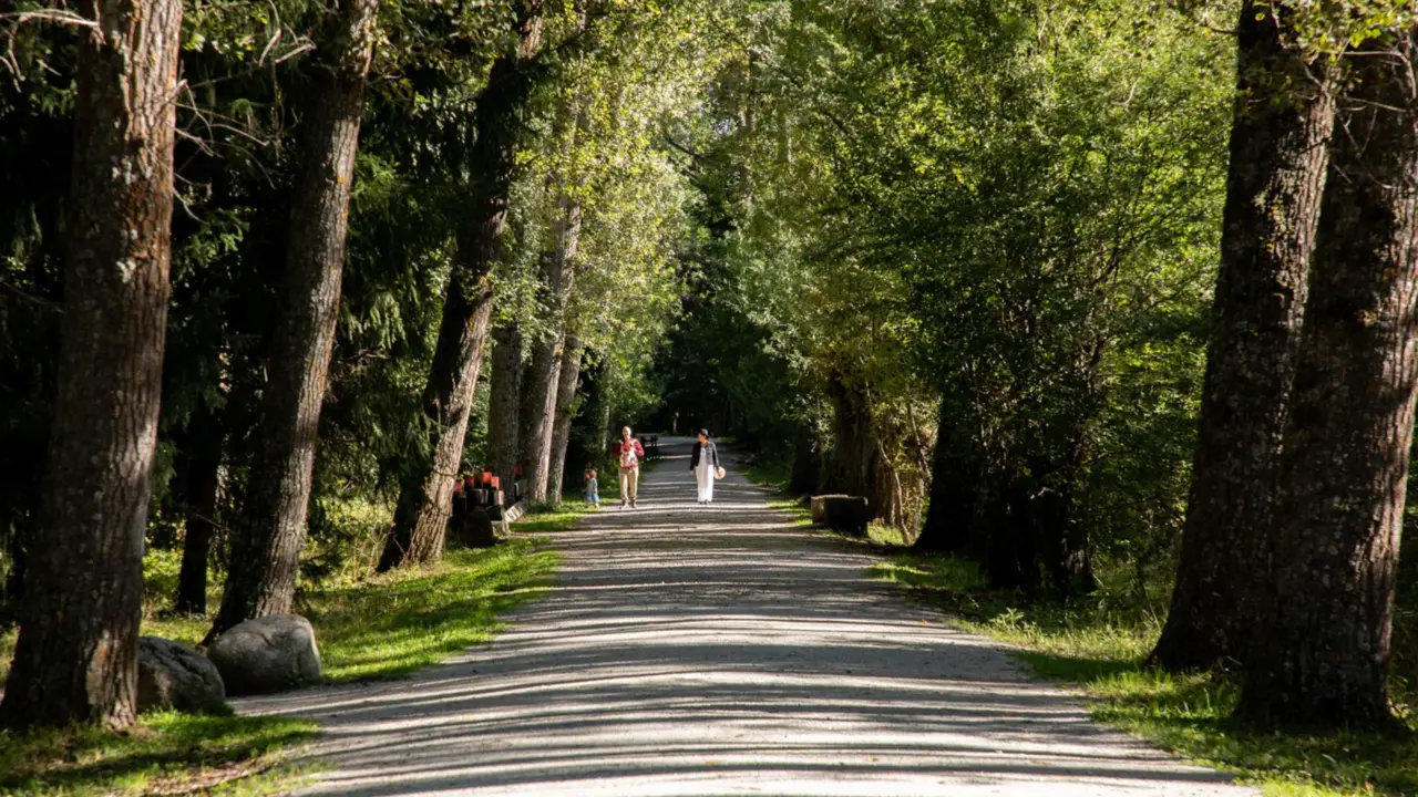  Un camino el d&iacute;a que da comienzo el oto&ntilde;o 2023, en el Bosque Finland&eacute;s, a 20 de septiembre de 2023, en Rascafr&iacute;a, Madrid (Espa&ntilde;a). El oto&ntilde;o de 2023 en el hemisferio norte comienza el s&aacute;bado 23 de septiembre, seg&uacute;n c&aacute;lculos del Observatorio Astron&oacute;mico Nac - Rafael Bastante - Europa Press 
