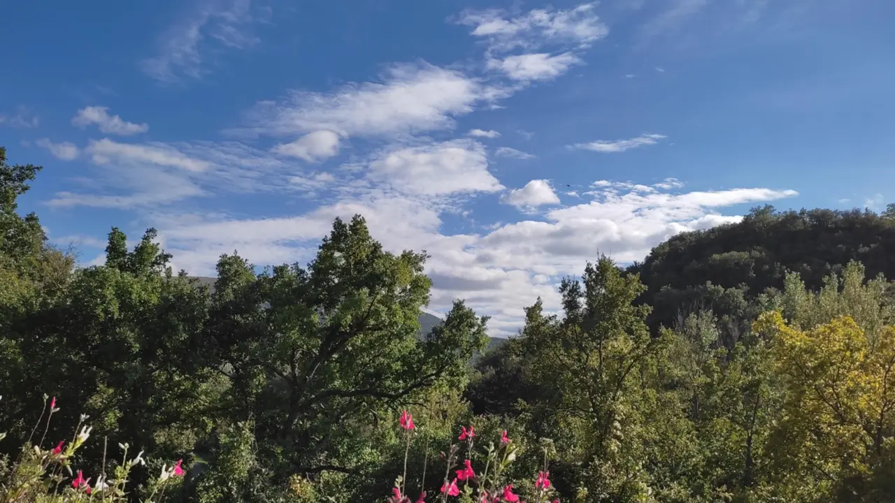 Temperaturas en aumento y cielos despejados marcar&aacute;n este domingo el tiempo en la mayor parte de Espa&ntilde;a 
