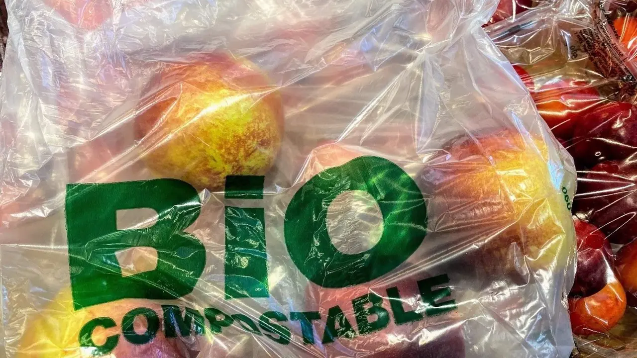  Bolsa compostable 