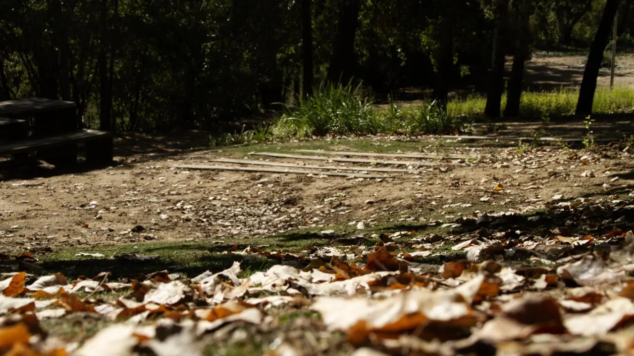  El mes de oto&ntilde;o sigue con temperaturas de verano en el Parque de Las Moreras de Valladolid. - DAVID MATOS/EUROPA PRESS 