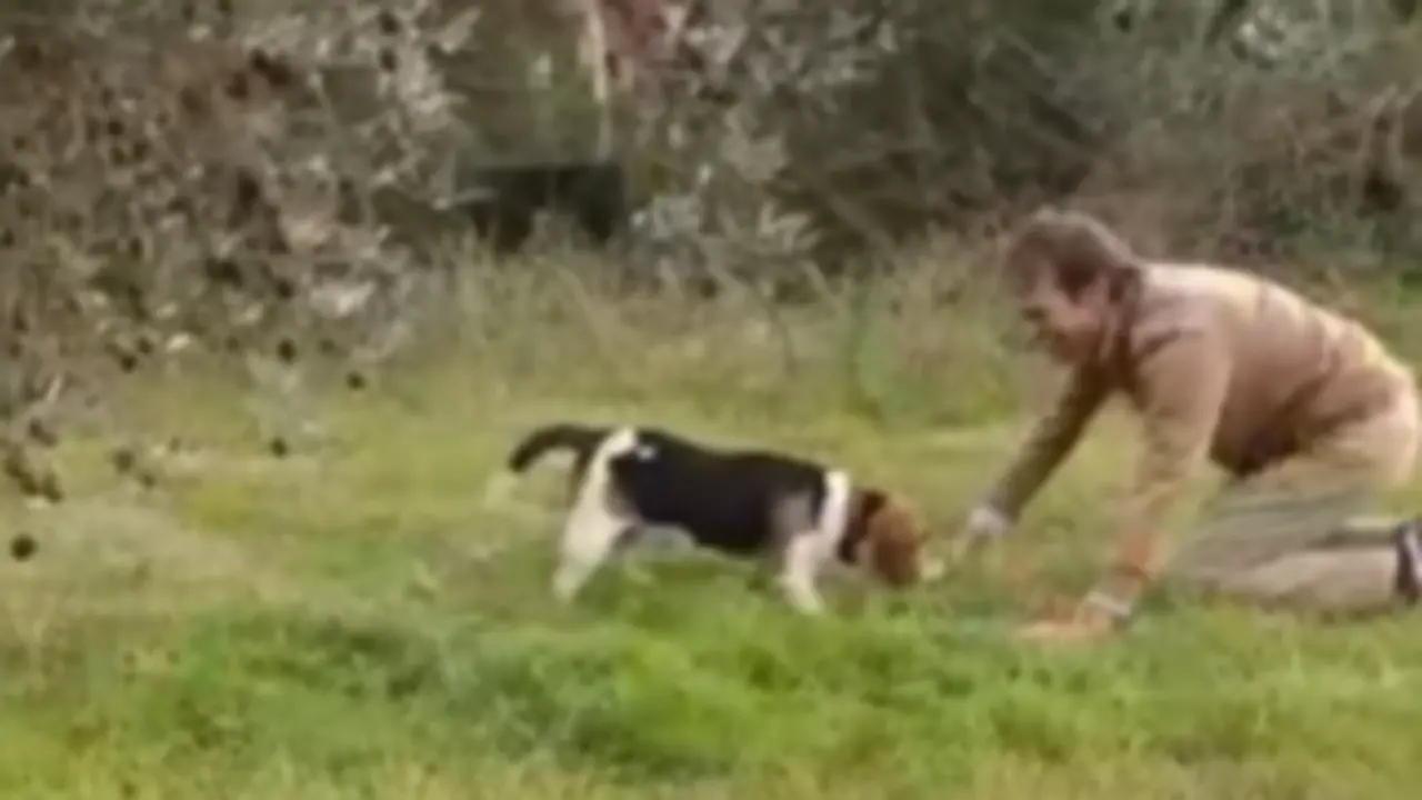  Captura del v&iacute;deo de Instagram de &Aacute;ngel Peralta 