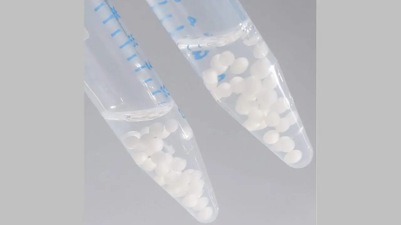  plastic-chompin-1090576 