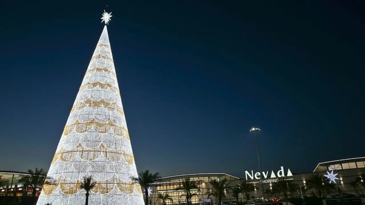  El &aacute;rbol de Navidad m&aacute;s grande de Espa&ntilde;a, situado en Granada 