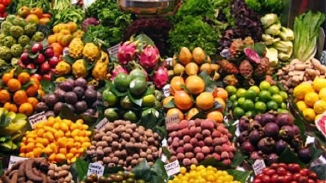  Sector agroalimentario.  