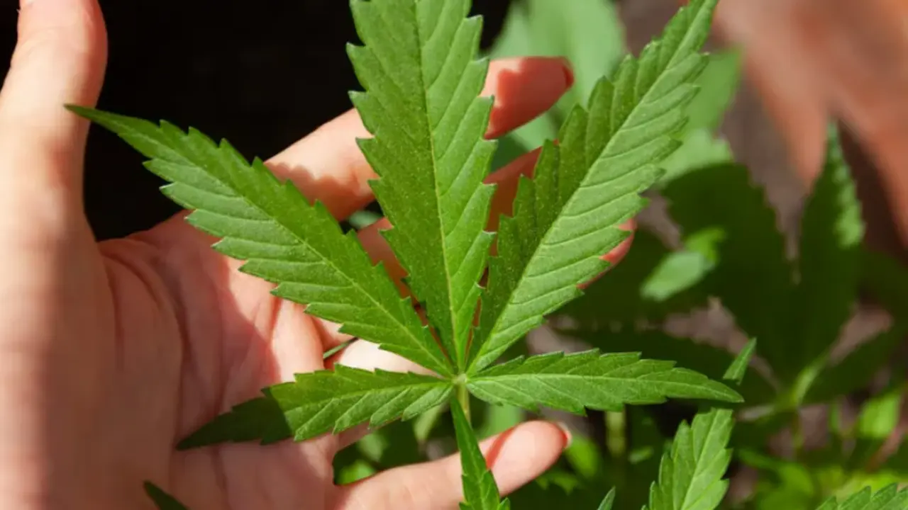  Captura de pantalla 2023-11-22 092928 