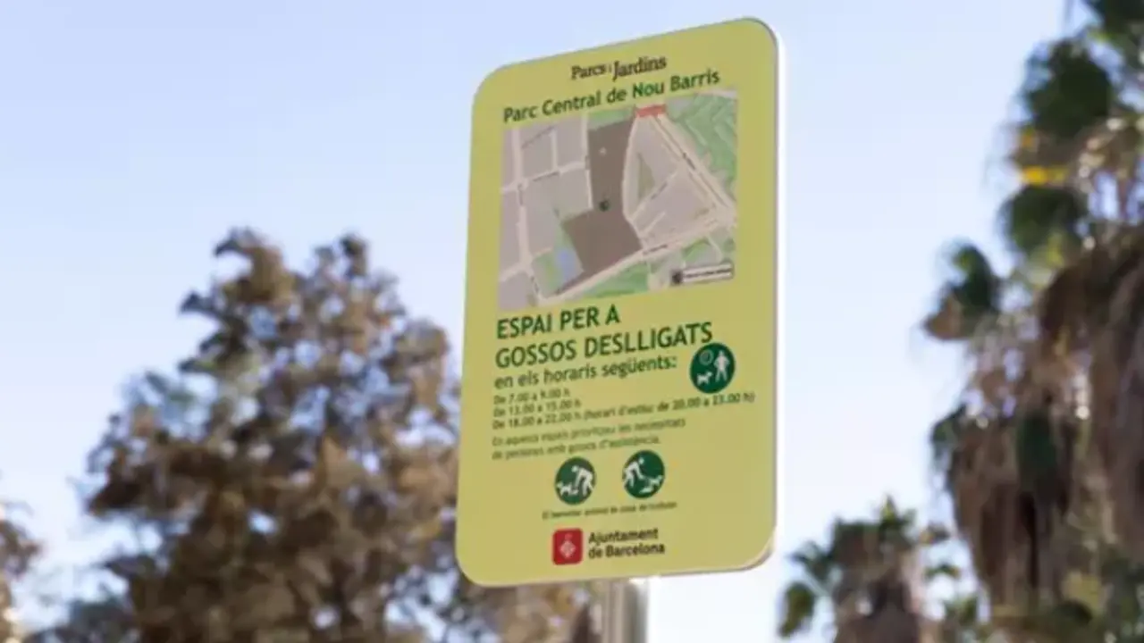  El Ayuntamiento de Barcelona explica que desde junio equipos de informadores se han desplegado en estas zonas para dar a conocer la normativa" de las "zonas de uso compartido" 