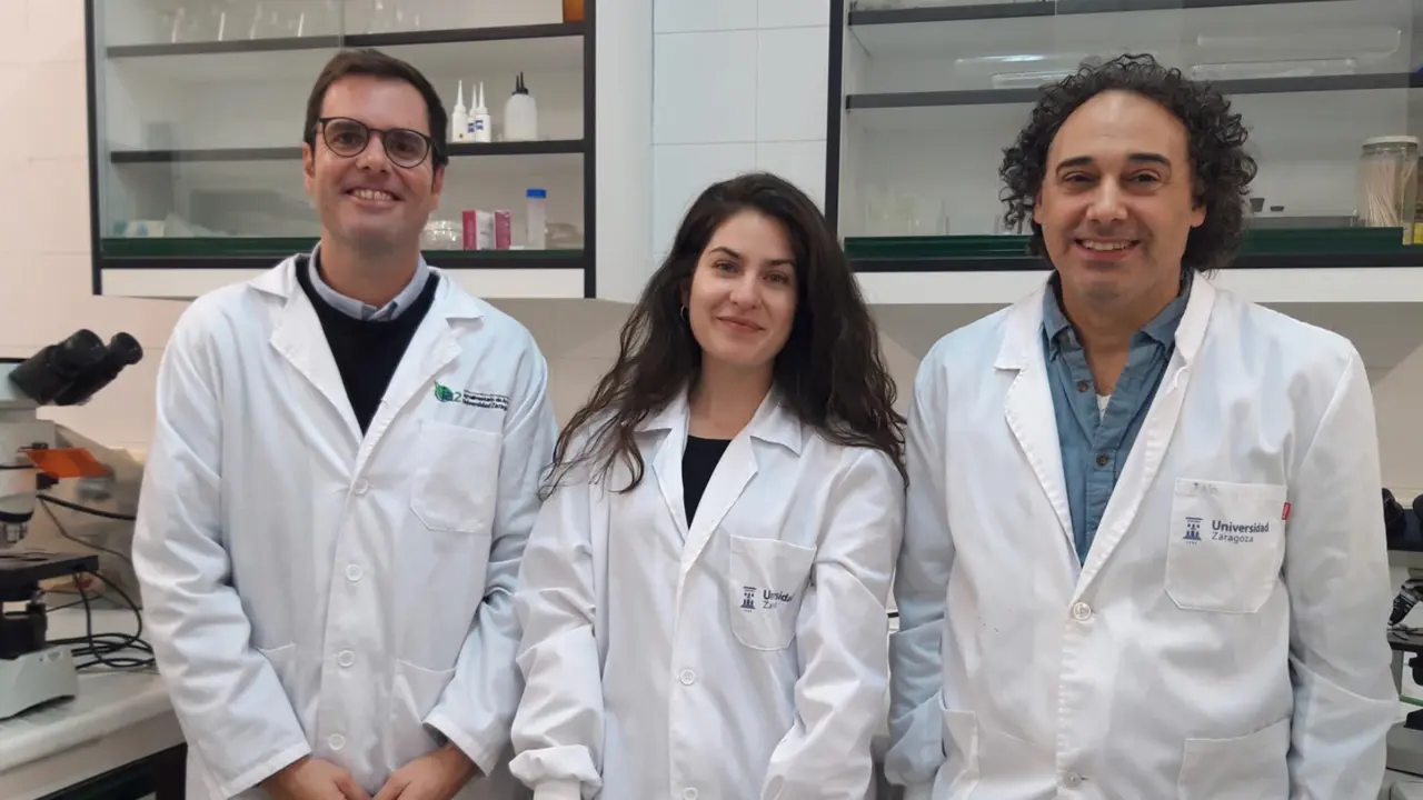  De izquierda a derecha V&iacute;ctor Lopez, Paula Jurado y Jes&uacute;s Arenas en los laboratorios de la Unidad de Microbiolog&iacute;a e Inmunologia de la Facultad de Veterinaria de la Universidad de Zaragoza. - UNIVERSIDAD DE ZARAGOZA 