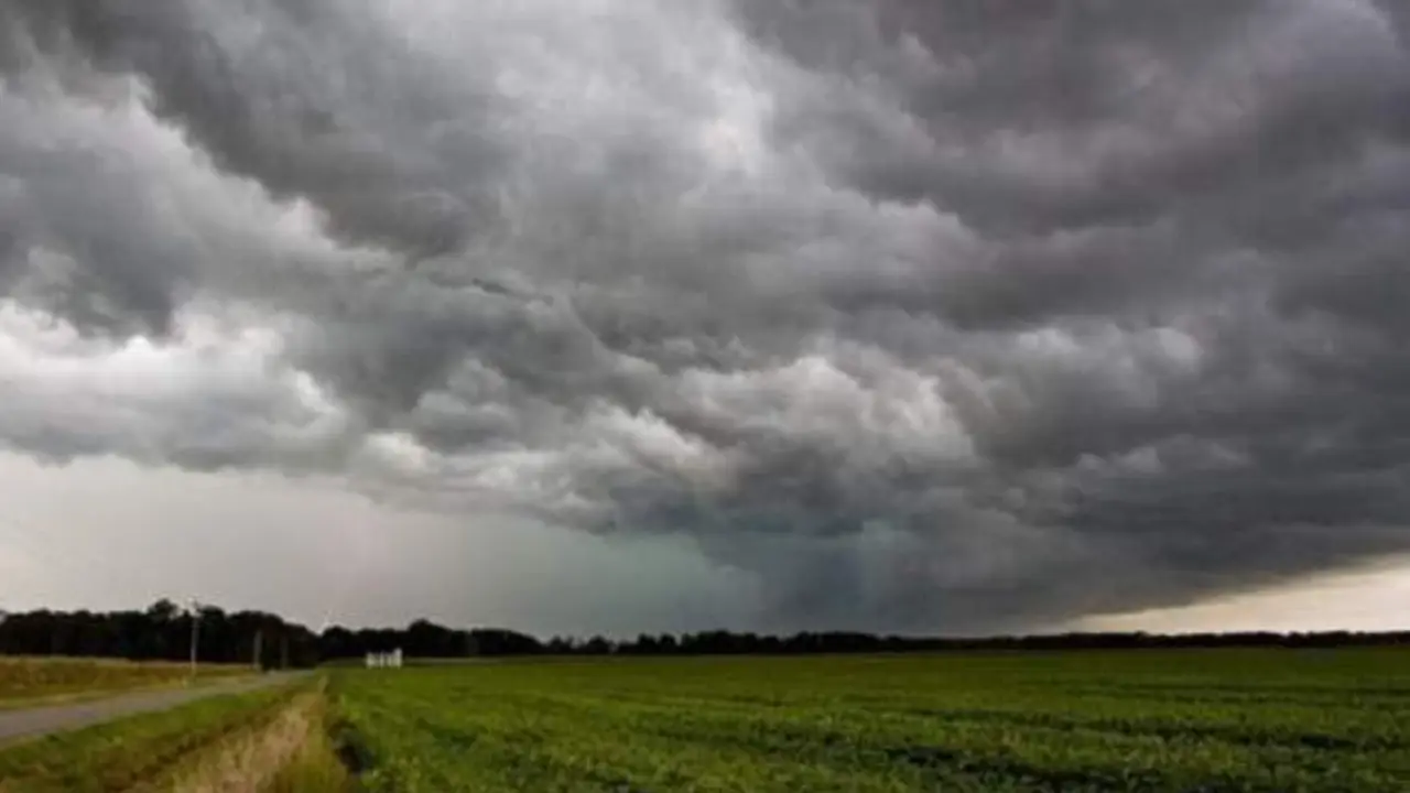  Lluvia en el campo. ARCHIVO 