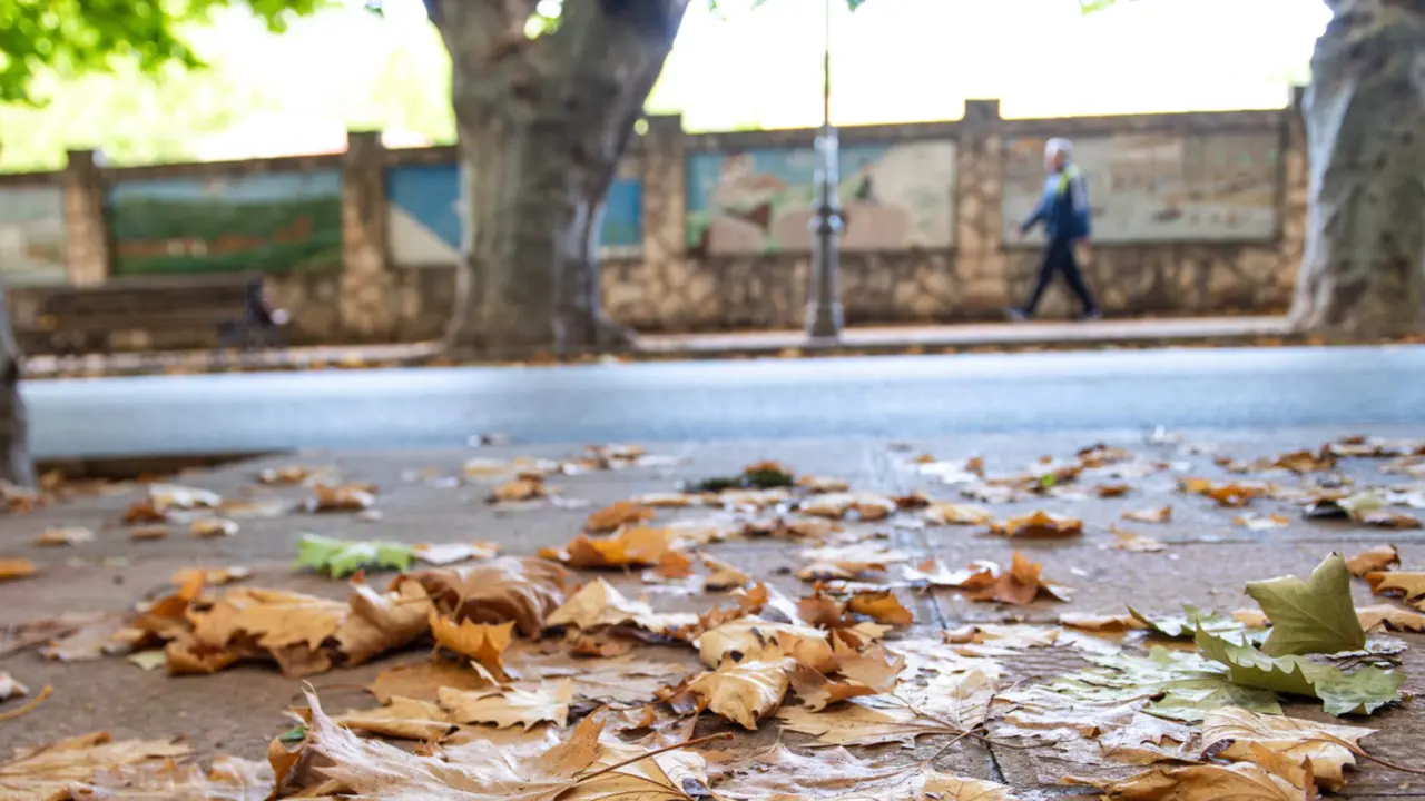  Tiempo en C&oacute;rdoba 