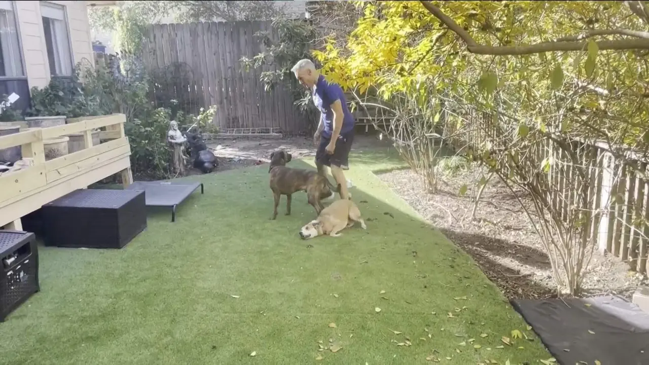  Joe Rotunda y su perro adoptado 