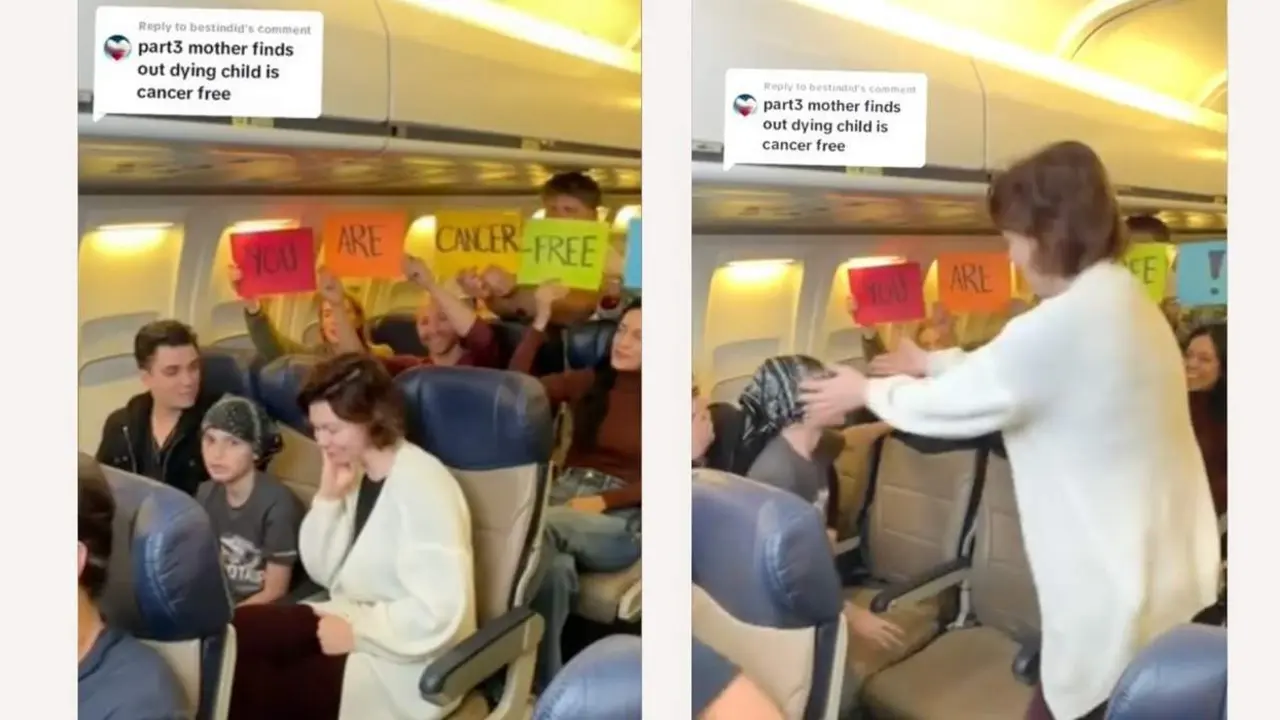  cr&eacute;dito @goodindid, tomado de TikTok. 