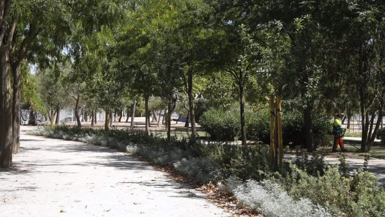  Archivo - Parque de las Cruces de Madrid. - AYUNTAMIENTO DE MADRID - Archivo 