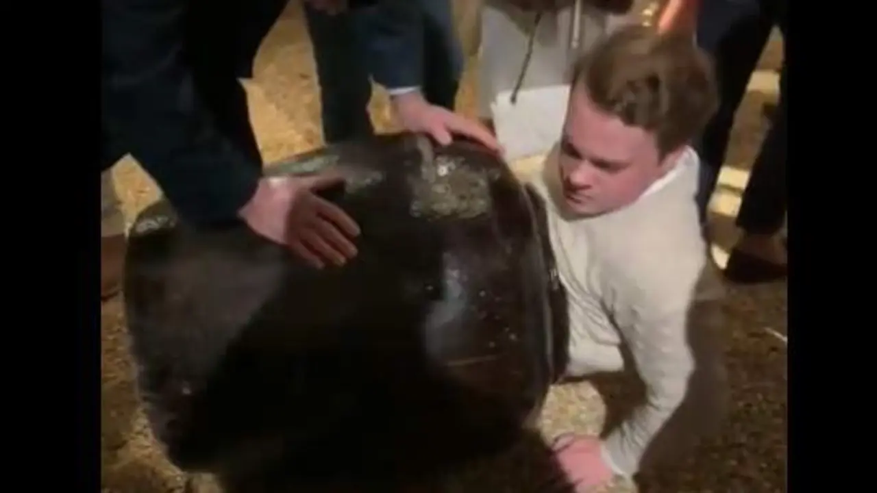  Chico atrapado en una urna 