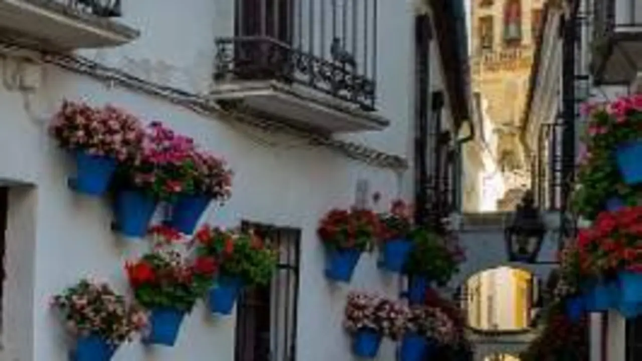  La Calleja de las Flores 