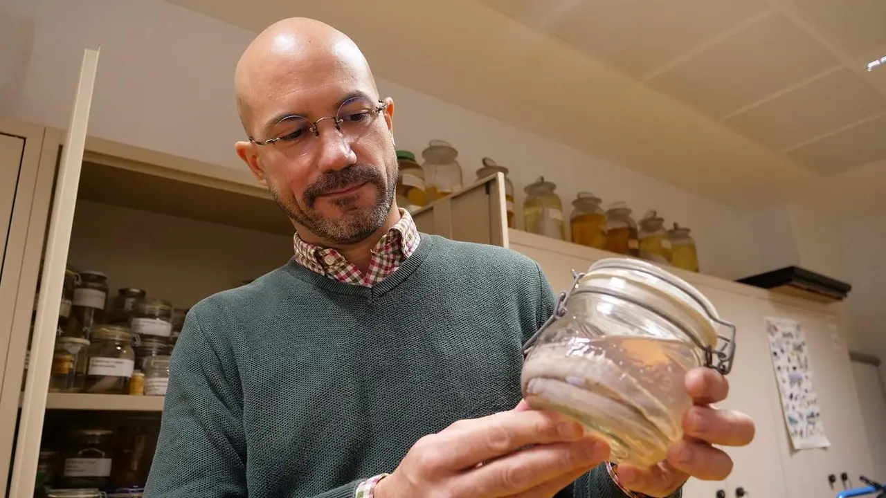  El cient&iacute;fico del Departamento de Biolog&iacute;a Animal de la UMA Pascual Anaya 