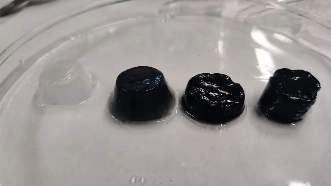  Im&aacute;genes del hidrogel. - UNIVERSITAT POLIT&Egrave;CNICA DE CATALUNYA 