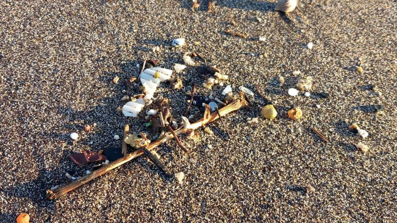  Archivo - Pellets en la playa de Bajamar, a 10 de enero de 2023, en Tenerife, Canarias (Espa&ntilde;a). Restos de pellets han sido localizados este mi&eacute;rcoles, 10 de enero, en la costa de Bajamar, en el municipio de La Laguna. Por ello, el Ejecutivo regional ha e - Europa Press Canarias - Europa Press - Archivo 