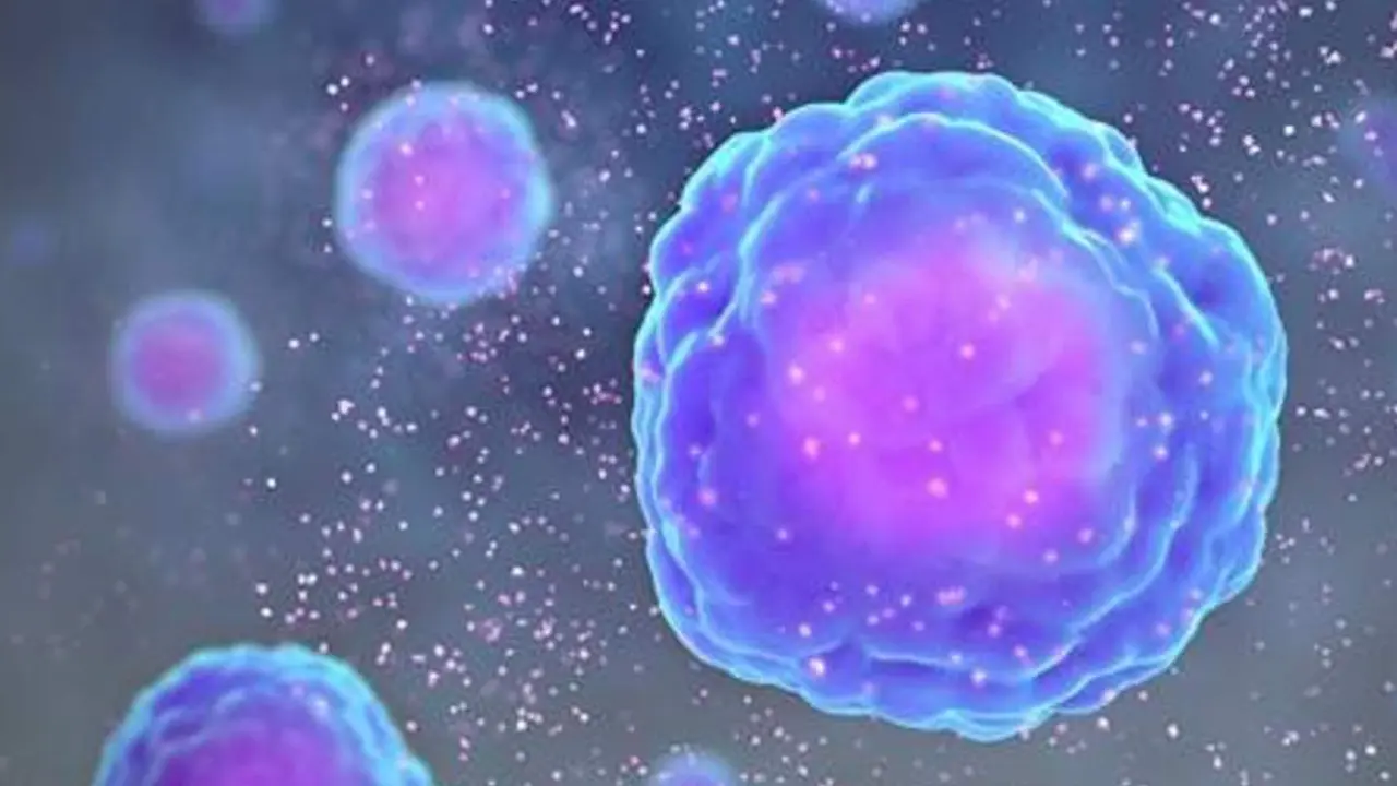  Archivo - Las c&eacute;lulas inmunitarias liberan prote&iacute;nas llamadas citoquinas que alertan al resto del sistema inmunitario de la presencia de un virus. / - WWW.CIENTIFICANIMATIONS.COM CC BY SA - Archivo 