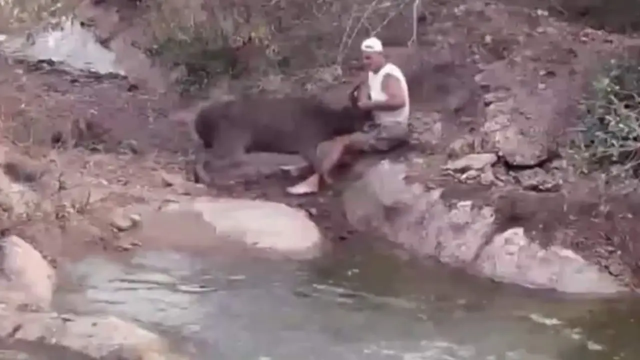  Frank Cuesta siendo atacado por el ciervo 