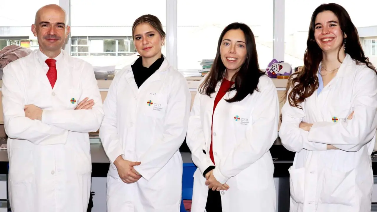  Investigadores del CEU consiguen modular los efectos del alcohol sobre la matriz del cerebro adolescente - CEU 