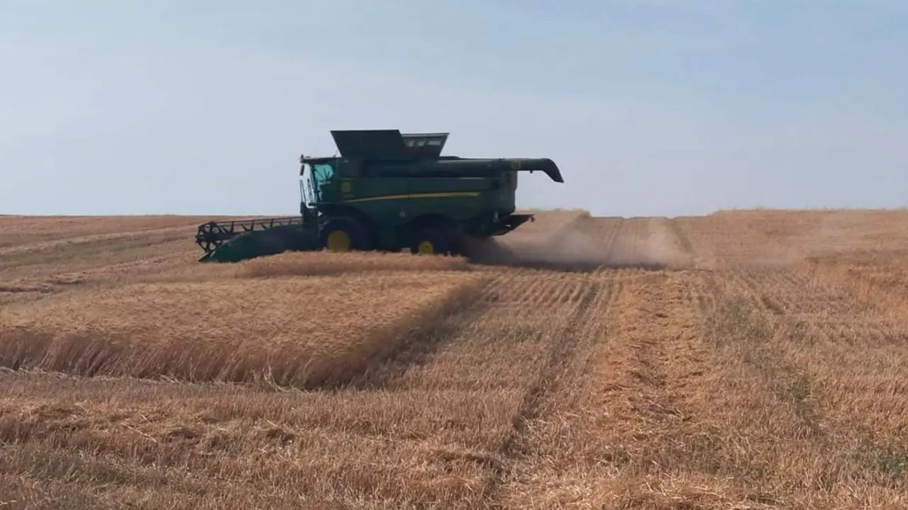  Recogida de cereales 